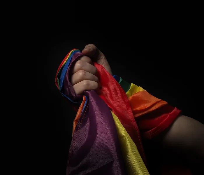 Mês do Orgulho LGBT+ 2025: Empresas e Celebridades que Apoiam a Causa